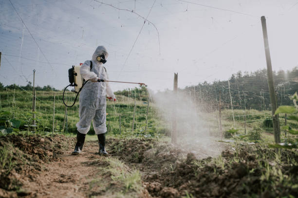 Best Pest Prevention Services  in Mount Cob, PA