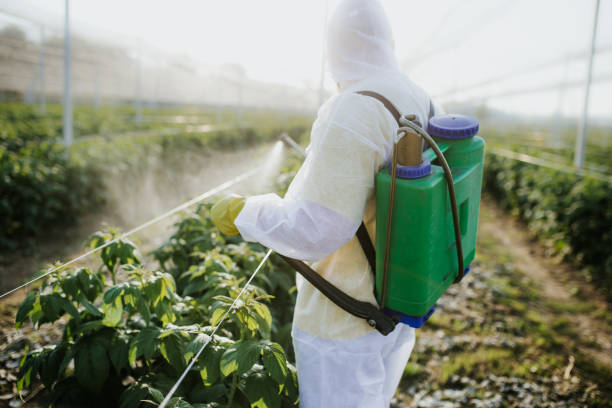 Reliable Mount Cob, PA Pest Control Solutions